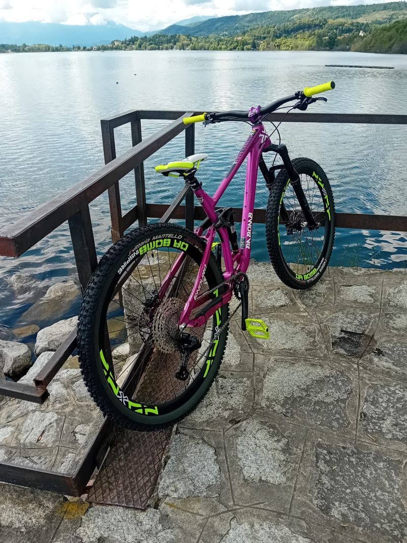 DABOMB CHERRY BOMB 29 2025 Mountainbike d'occasion — image 2 sur 6