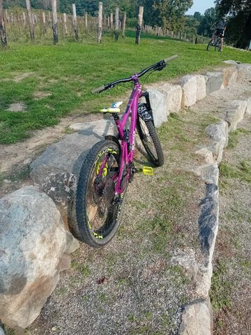 DABOMB CHERRY BOMB 29 2025 Mountainbike d'occasion — image 4 sur 6
