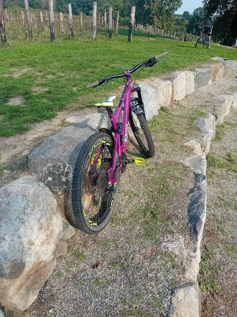 DABOMB CHERRY BOMB 29 2025 Mountainbike d'occasion — image 4 sur 6