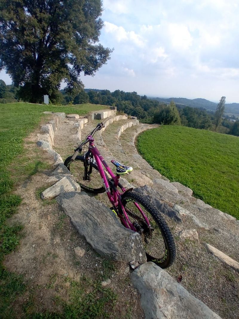 DABOMB CHERRY BOMB 29 2025 Mountainbike d'occasion — image 6 sur 6