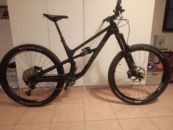 Canyon, Spectral 29 CF 7 2022