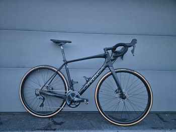 Orbea, Avant