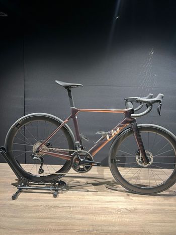 Liv, EnviLiv Advanced 1 2025