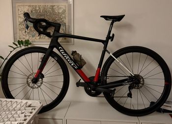 Wilier, GARDA SHIMANO ULTEGRA R8000 2023