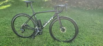 Giant, TCR Advanced Pro 0 Disc 2021