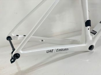 Used Colnago COLNAGO V5Rs World Champion 2025 Frameset 2025 Road & Gravel, White — image 3 of 4