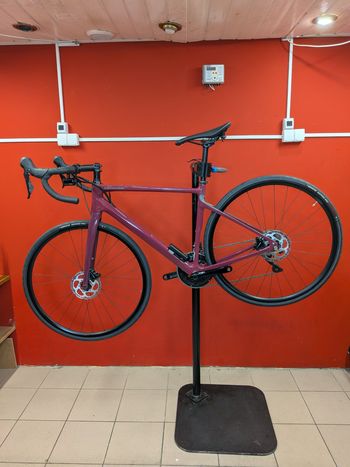Cannondale, Synapse Carbon 3 L 2023