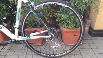 Used Bianchi Bianchi Nirone C2C 2008 Road & Gravel, White — image 6 of 8