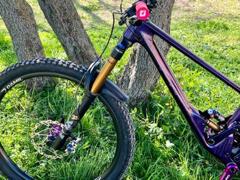 Used SCOR 4060 Custom 2022 Mountainbike, Viola — image 2 of 22