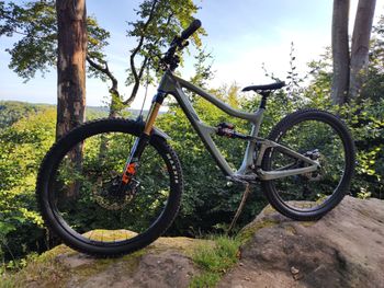 Ibis, Ripmo SRAM GX Eagle