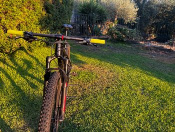 Used Focus Raven SRAM X01 Eagle 2019 Mountainbike, Black — image 5 of 6