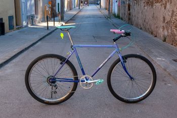Used Peugeot Blue Lagoon 1995 MTB