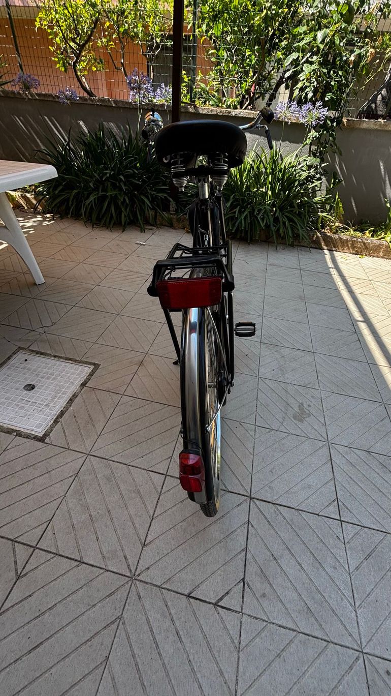 Used Morrison Bici Olandese Morris Con Freni A Bacchetta 2018 Urban — image 3 of 3