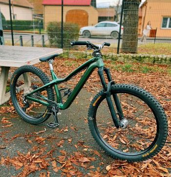 Dartmoor, Hornet Pro 2025