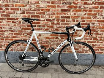 Used Colnago Colnago C50 Carbon 2008 2008 Road & Gravel
