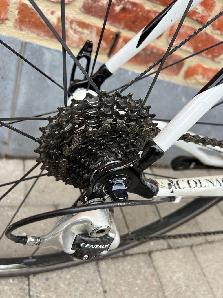 Used Colnago Colnago C50 Carbon 2008 2008 Road & Gravel, Weiß — image 2 of 9