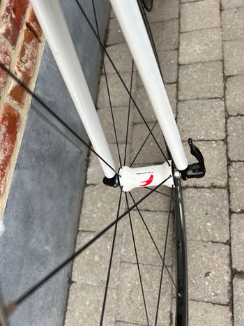 Used Colnago Colnago C50 Carbon 2008 2008 Road & Gravel, Weiß — image 9 of 9
