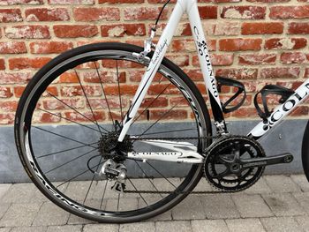 Used Colnago Colnago C50 Carbon 2008 2008 Road & Gravel, Weiß — image 3 of 9