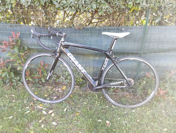 Used Giant TCR Composite 2011 2011 Road & Gravel, Black — image 1 of 8