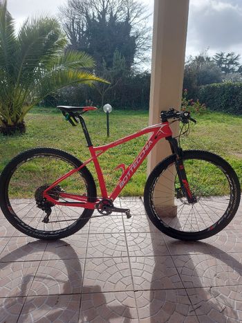 Bottecchia, Ortles297