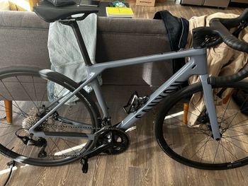 Used Canyon Endurace CF 7 2025 2025 Road & Gravel, Blue — image 2 of 4