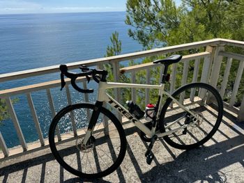 Trek, Domane AL 4 Gen 4 2026