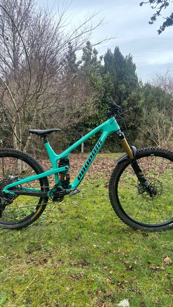 Propain, Tyee Cf 2022