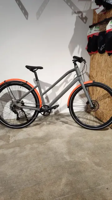 Gebrauchtes BMC 257 AL Four ST 2024 Urban & Touring