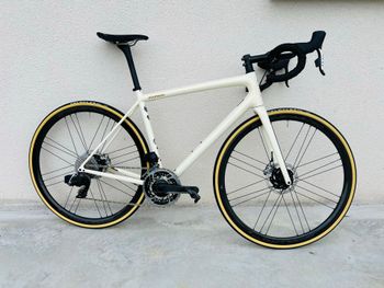 Specialized, Sagan Disruption T.56 Fact 10r 2023