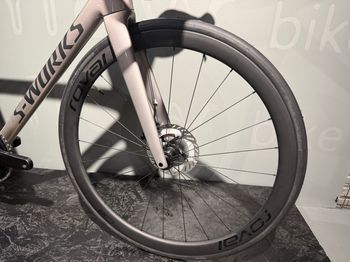 Used Specialized Tarmac SL8 S-Works Custom Ultegra 2025 Road & Gravel, Light Gray — image 3 of 6