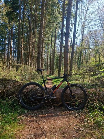 Gebrauchtes ROCKRIDER XC 940 LTD 2022 Mountainbike, Schwarz — Bild 9 von 11