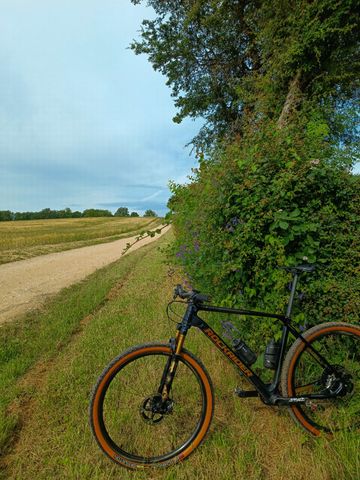 Gebrauchtes ROCKRIDER XC 940 LTD 2022 Mountainbike, Schwarz — Bild 4 von 11