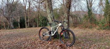 Specialized, Enduro Elite 2020