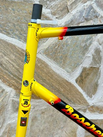 Used Boschetti Custom Multishape Frameset - NOS Fork 2000 Road & Gravel — image 6 of 34
