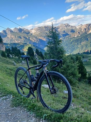 Used Basso Palta Shimano GRX 1x12 820 2024 2024 Road & Gravel — image 4 of 4