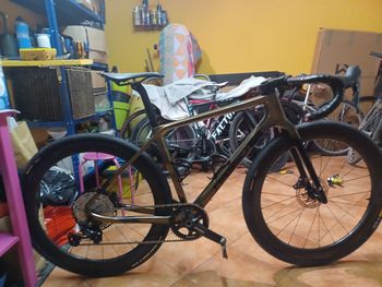 Used Basso Palta Shimano GRX 1x12 820 2024 2024 Route & Gravel