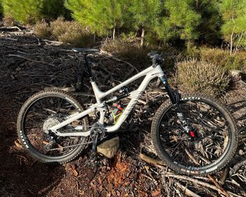 Canyon, Torque 29 AL 6 2023