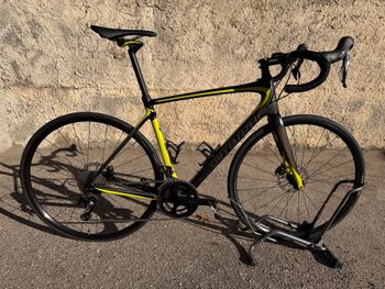 Specialized, Roubaix Elite 2017