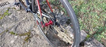 Used Lapierre Lapierre SLITE 500 Tt Carbone 2012 Road & Gravel, Schwarz — image 5 of 5