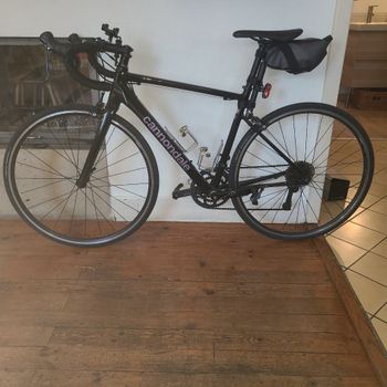 Cannondale, Caad Optimo 3 2023