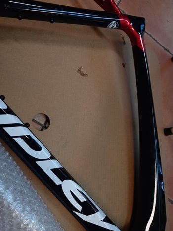 Used Ridley Frameset - Gr. S Frameset 2023 Road & Gravel, Black — image 2 of 7