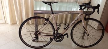 Specialized, Roubaix SL4 Expert 2016