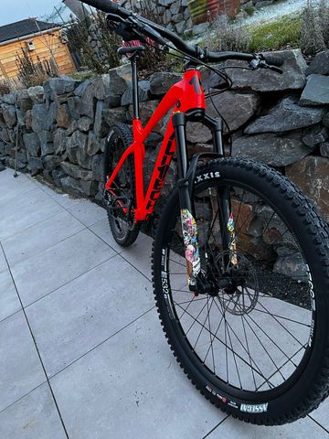 Used Alutech CheapTrick 29 2021 2021 Mountainbike, Red, 29 — image 7 of 7