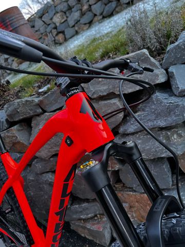 Used Alutech CheapTrick 29 2021 2021 Mountainbike, Red, 29 — image 4 of 7