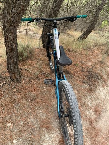 Saracen, Ariel Clt Ltx