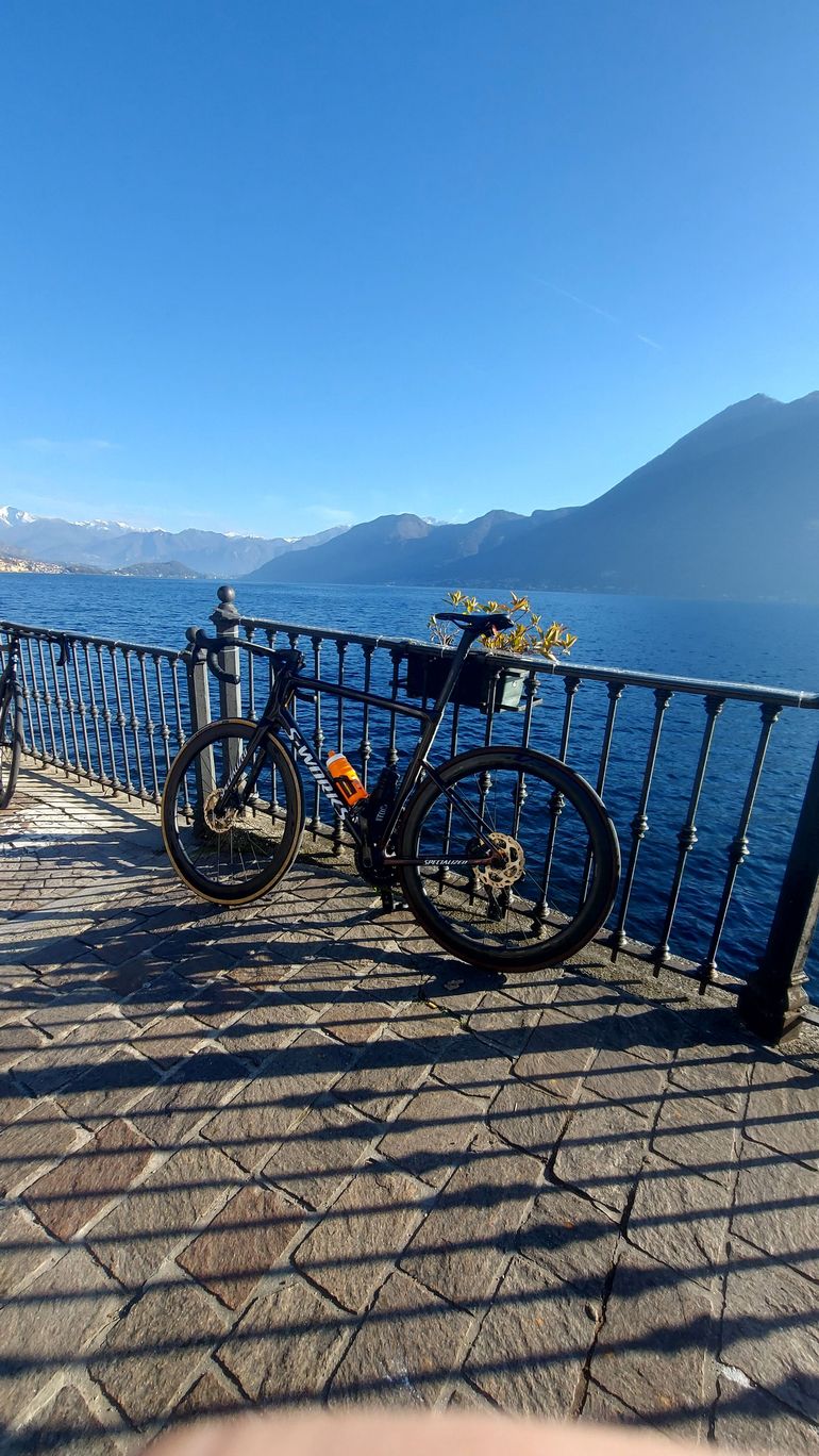 Used Specialized Tarmac SL8 Comp - Shimano 105 Di2 2026 2026 Road & Gravel, Red — image 2 of 3