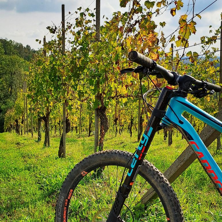 Used Cannondale Habit Carbon SE 2017 2017 Mountainbike, Blu — image 2 of 8