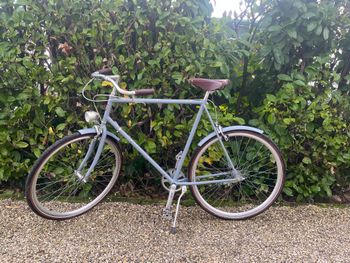 Cicli Blume Vintage, City Bike Vintage Uomo Anno 2019