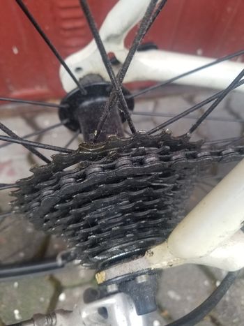 Used Cannondale Caad 2000 2000 Road & Gravel, Weiß — image 6 of 9