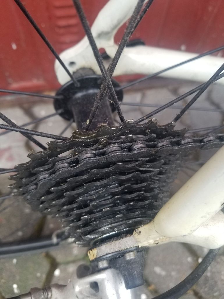 Used Cannondale Caad 2000 2000 Road & Gravel, Weiß — image 6 of 9